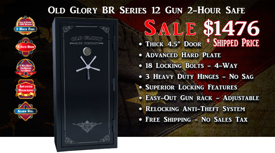 Secure Gun Storage