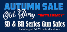 Gun Safe Sale