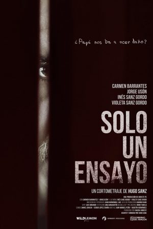 cartel_solo_un_ensayo-WL copia